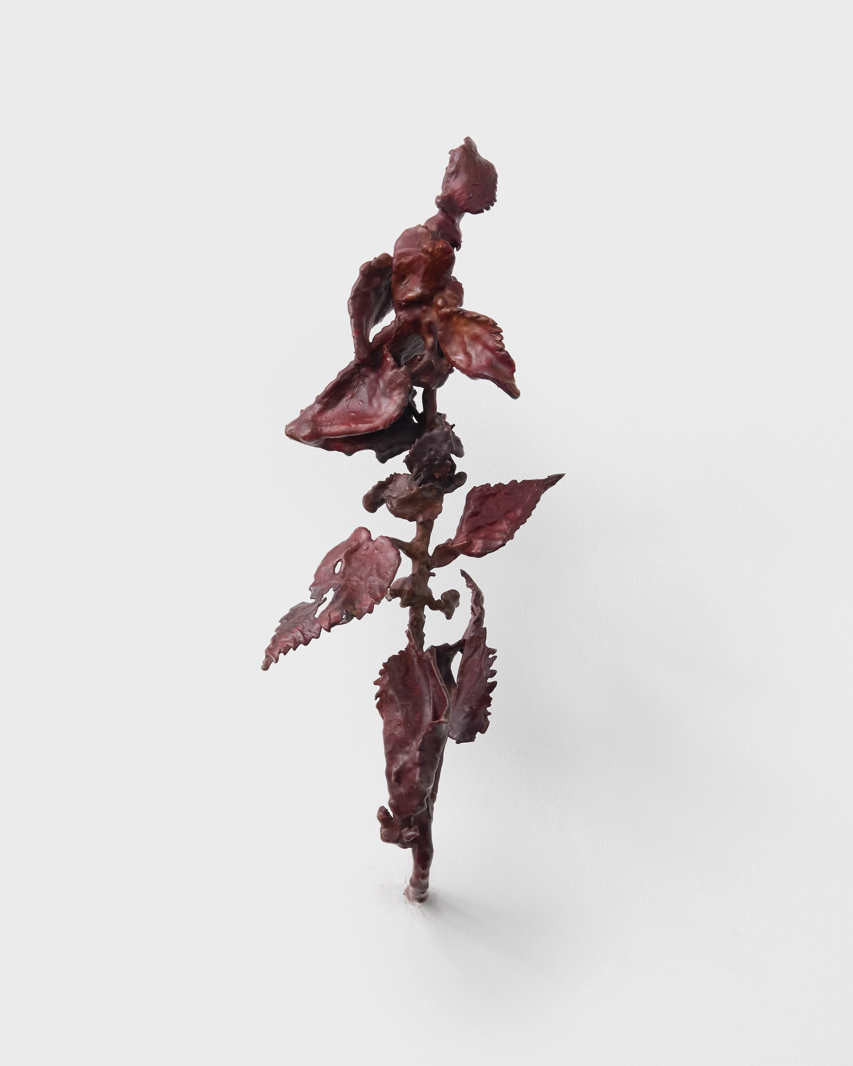 Hyperaccumulator (13)